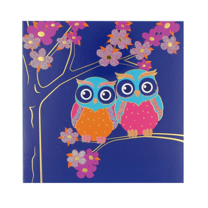 Felicitare Premium Vivid Owls