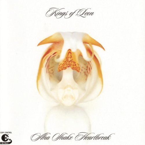 Kings of Leon - Aha Shake Heartbreak - Vinyl - Vinyl