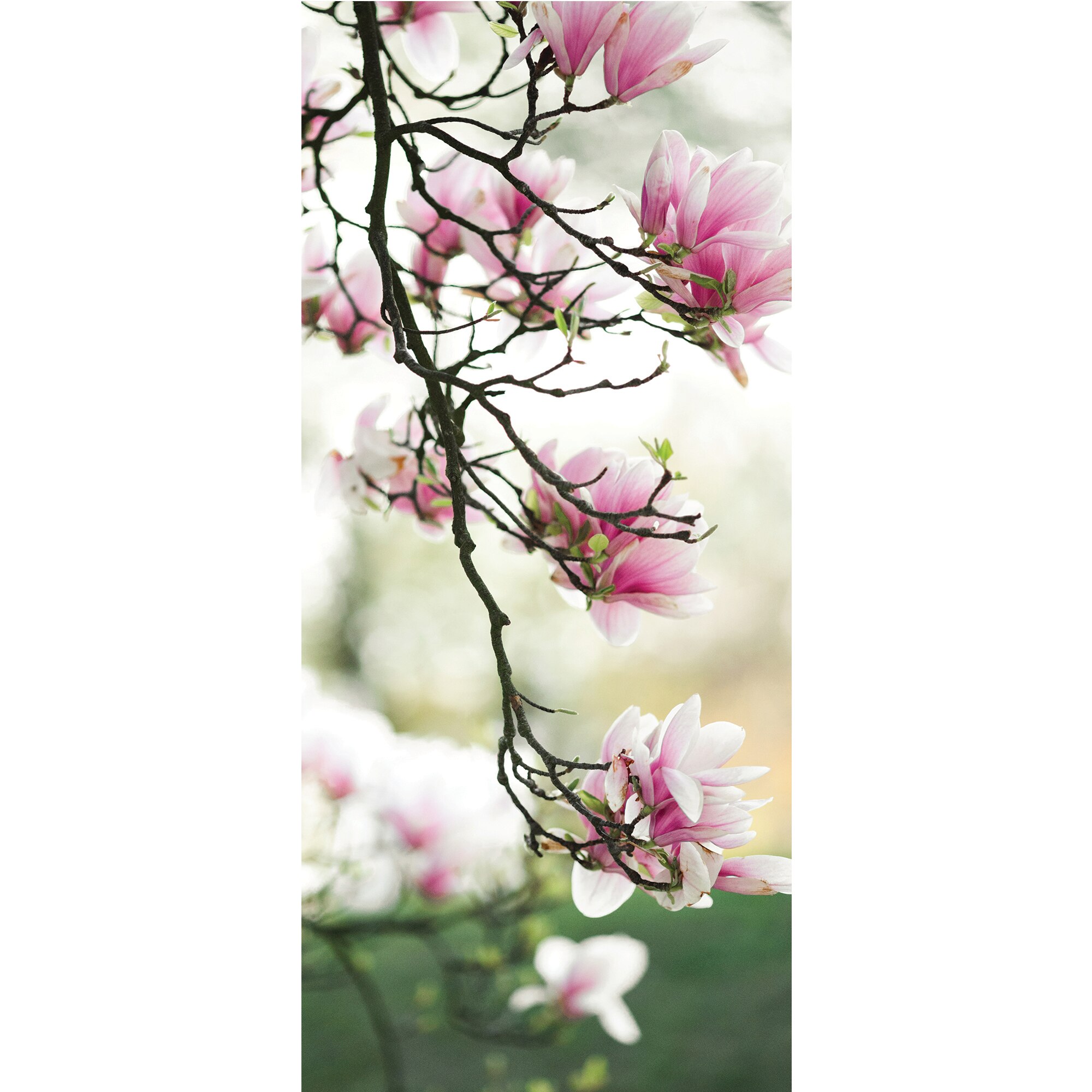 Autocolant imprimat pentru usa, Orafol, Ramura de magnolie, multicolor, 92x205 cm