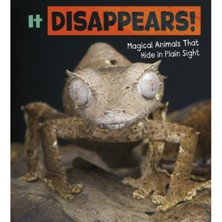 It Disappears! Magical Animals That Hide in Plain Sight, Potts Nikki (Editor)