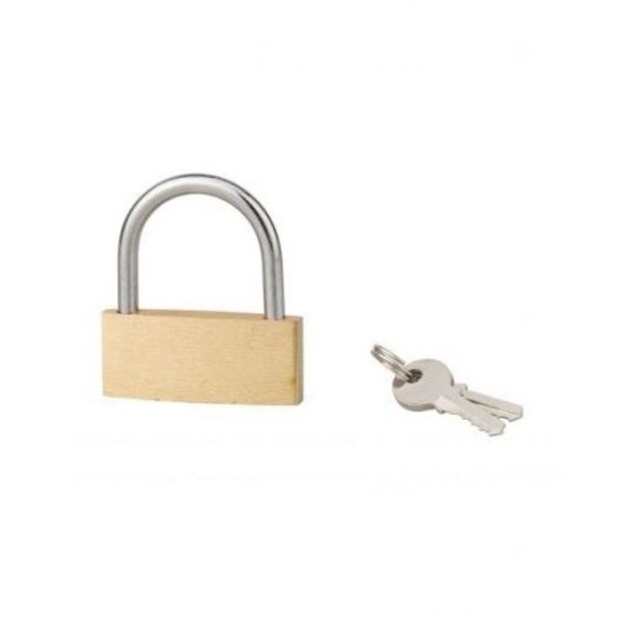 Lacat cu 2 chei BASIC 45 mm, toarta otel, Serruprix