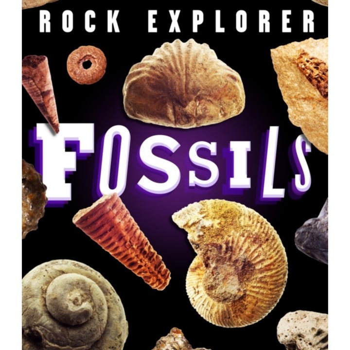 Rock Explorer: Fossils, Martin Claudia