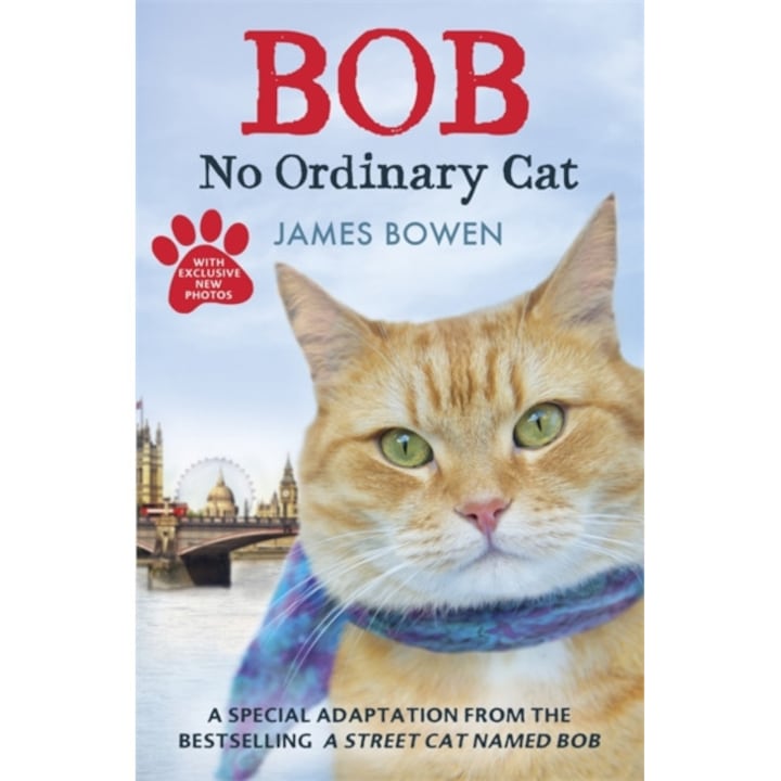 Bob No Ordinary Cat, Bowen James
