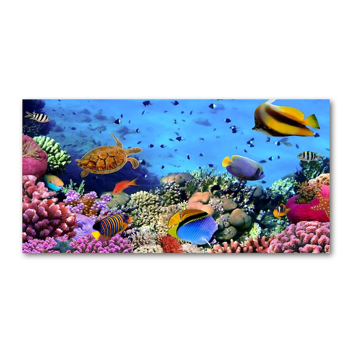 Pictura pe panza, Dimensiune: 140 cm x 70 cm, Decorarea peretilor - recif de corali