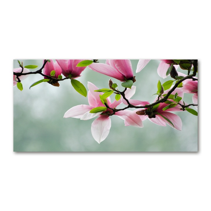 Pictura pe panza, Dimensiune: 140 cm x 70 cm, Decorarea peretilor - Magnolie