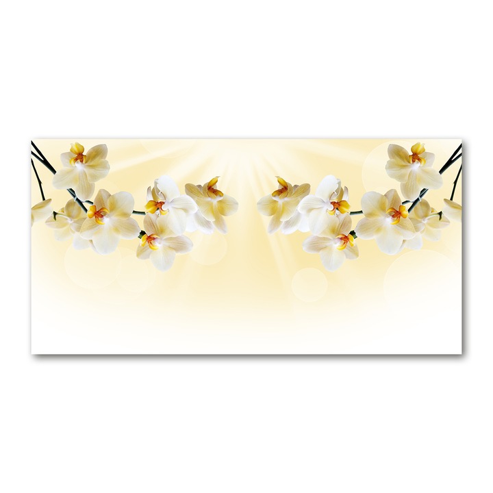 Pictura pe panza, Dimensiune: 140 cm x 70 cm, Decorarea peretilor - Orhidee