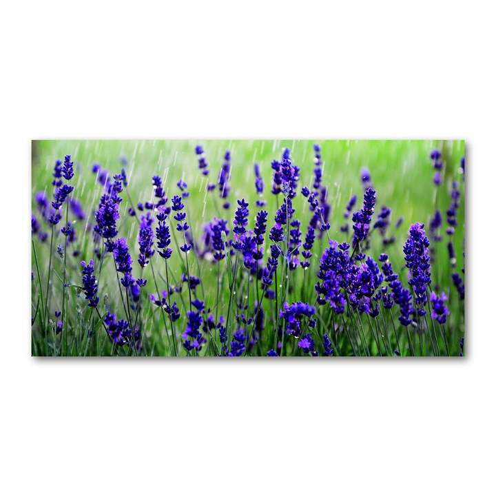 Pictura pe panza, Dimensiune: 140 cm x 70 cm, Decorarea peretilor - Lavanda