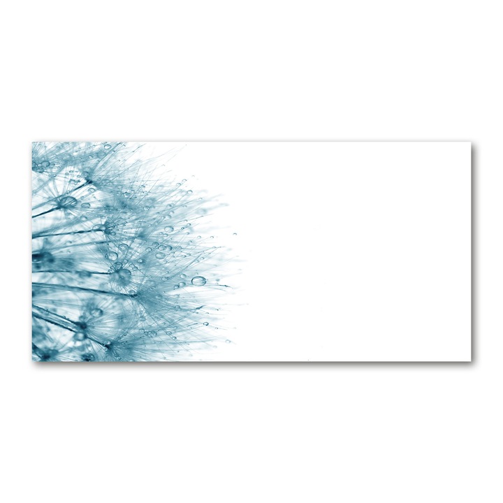 Pictura pe panza, Dimensiune: 140 cm x 70 cm, Decorarea peretilor - Papadie