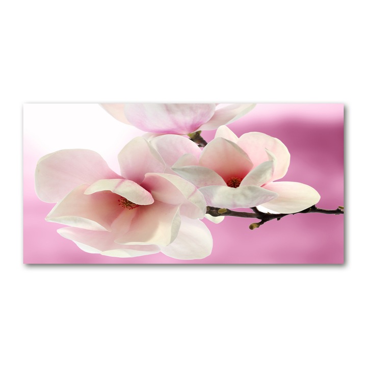 Pictura pe panza, Dimensiune: 140 cm x 70 cm, Decorarea peretilor - Magnolie