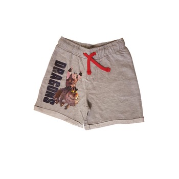Pantaloni scurti cu imprimeu Dragons baieti, gri, 128/134 cm, 7-9 ani Pantaloni scurti cu imprimeu Dragons baieti, gri, 128/134 cm, 7-9 ani