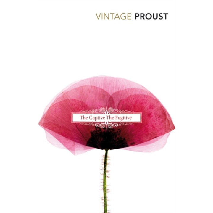 In Search Of Lost Time, Vol 5 The Captive & The Fugitive, Proust Marcel