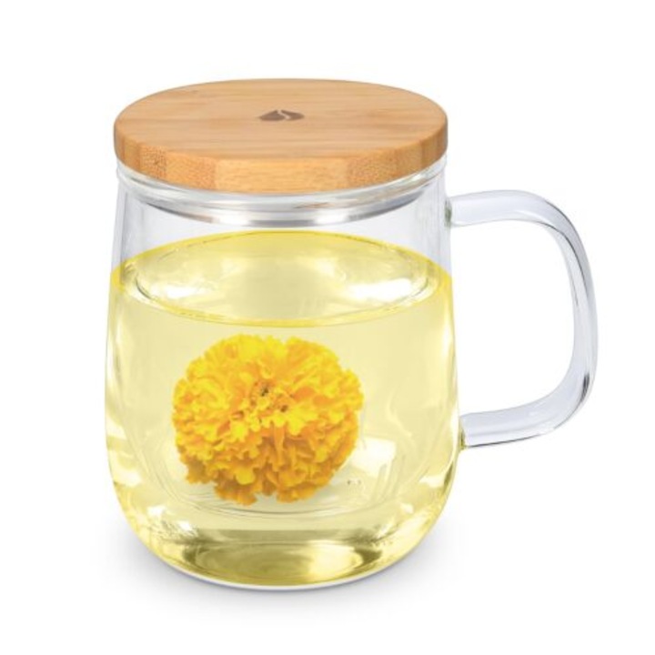 Pahar de ceai Navaris, cu filtru si capac de bambus, din sticla borosilicata, 500ml, Transparent
