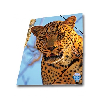 Mapa AR carton cu elastic Skag, 25 x 35 wild animals, leopard Mapa AR carton cu elastic Skag, 25 x 35 wild animals, leopard