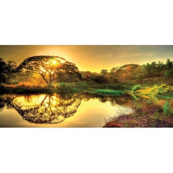 Panou radiant infrarosu Dragus 1100W ( 850W ) Copac Apus 60/127 cm Panou radiant infrarosu Dragus 1100W ( 850W ) Copac Apus 60/127 cm