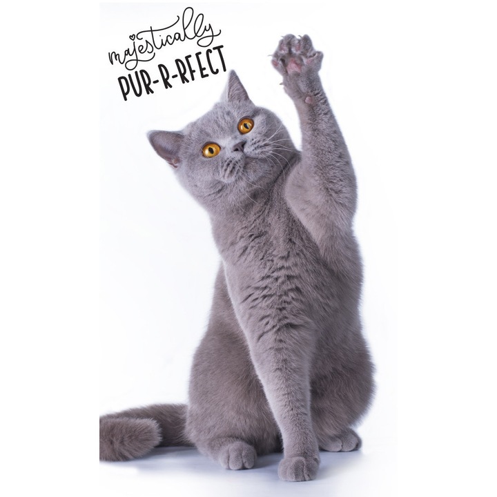 Котешка кърпа за ръце 30х50см