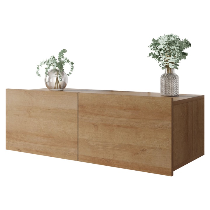 Comoda TV Bralani 100 BR03, MIRJAN24, stejar auriu, 100x43x37 cm