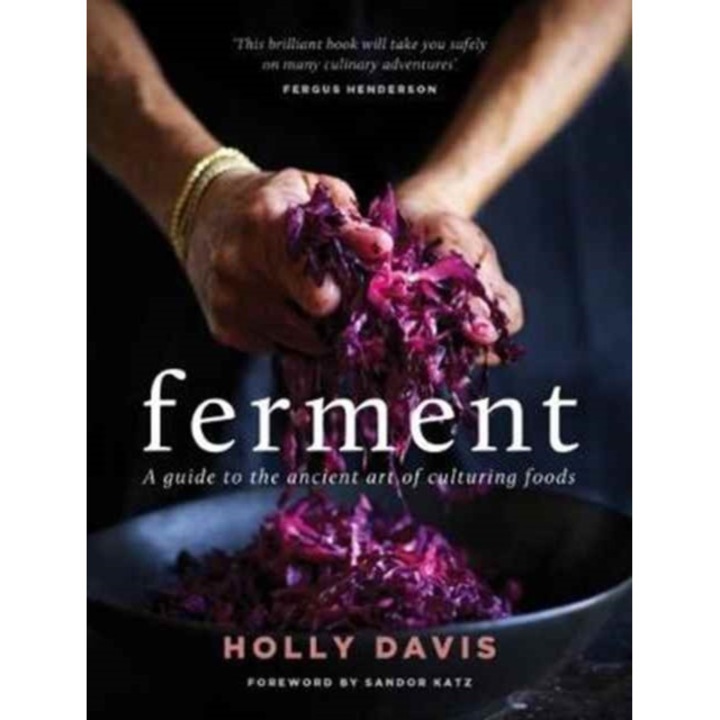 Ferment A Practical Guide to the Ancient Art of Making Cultured Foods, Davis Holly
