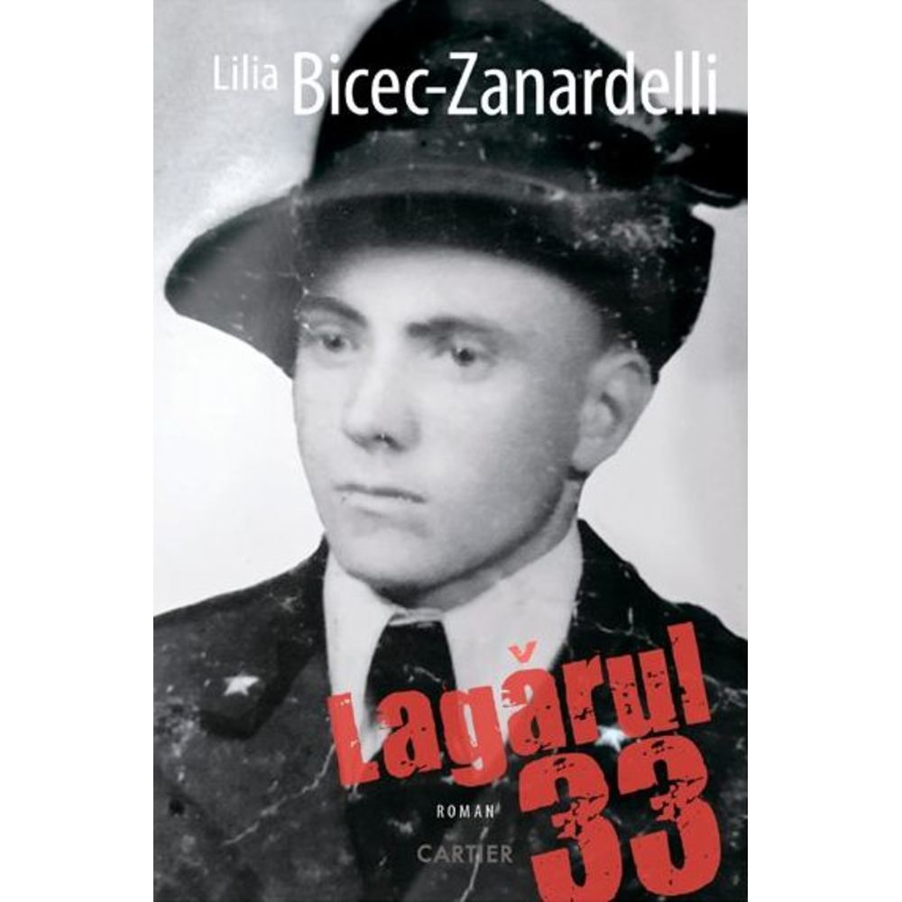 Lagarul 33 - Lilia Bicec-Zanardelli