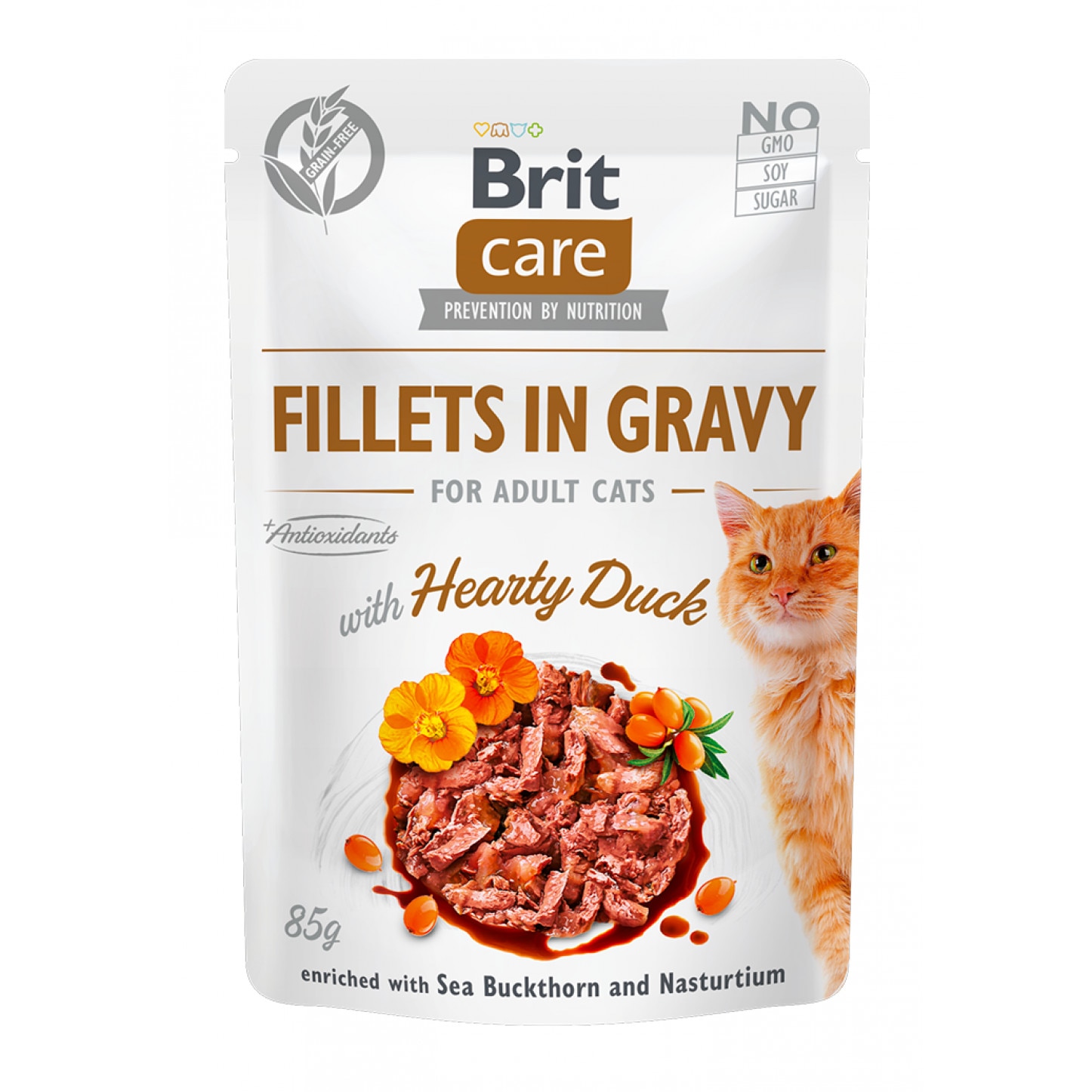 Hrana Umeda Pisici Brit Care Fillets in Gravy cu Rata, 85 g