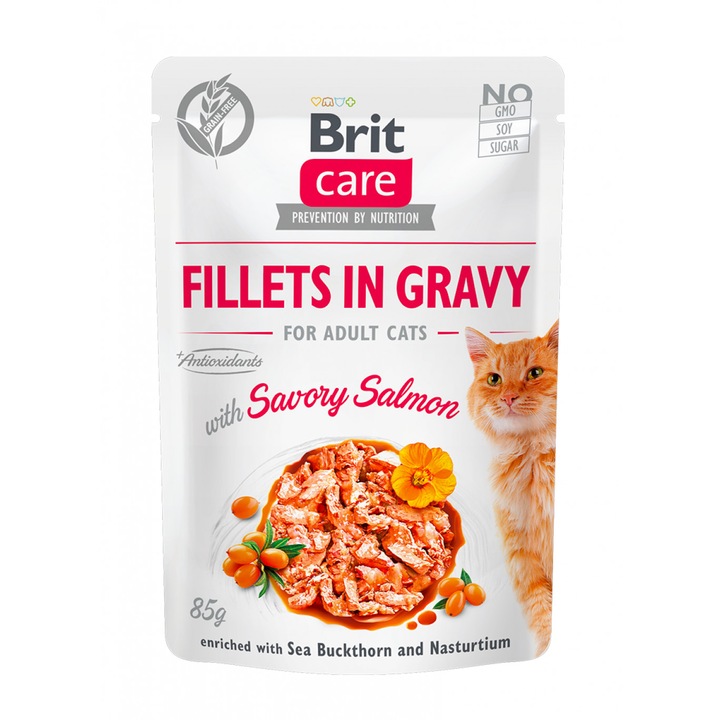 hrana umeda pisici brit care fillets in gravy cu somon 85 g imagen 39_0_
6