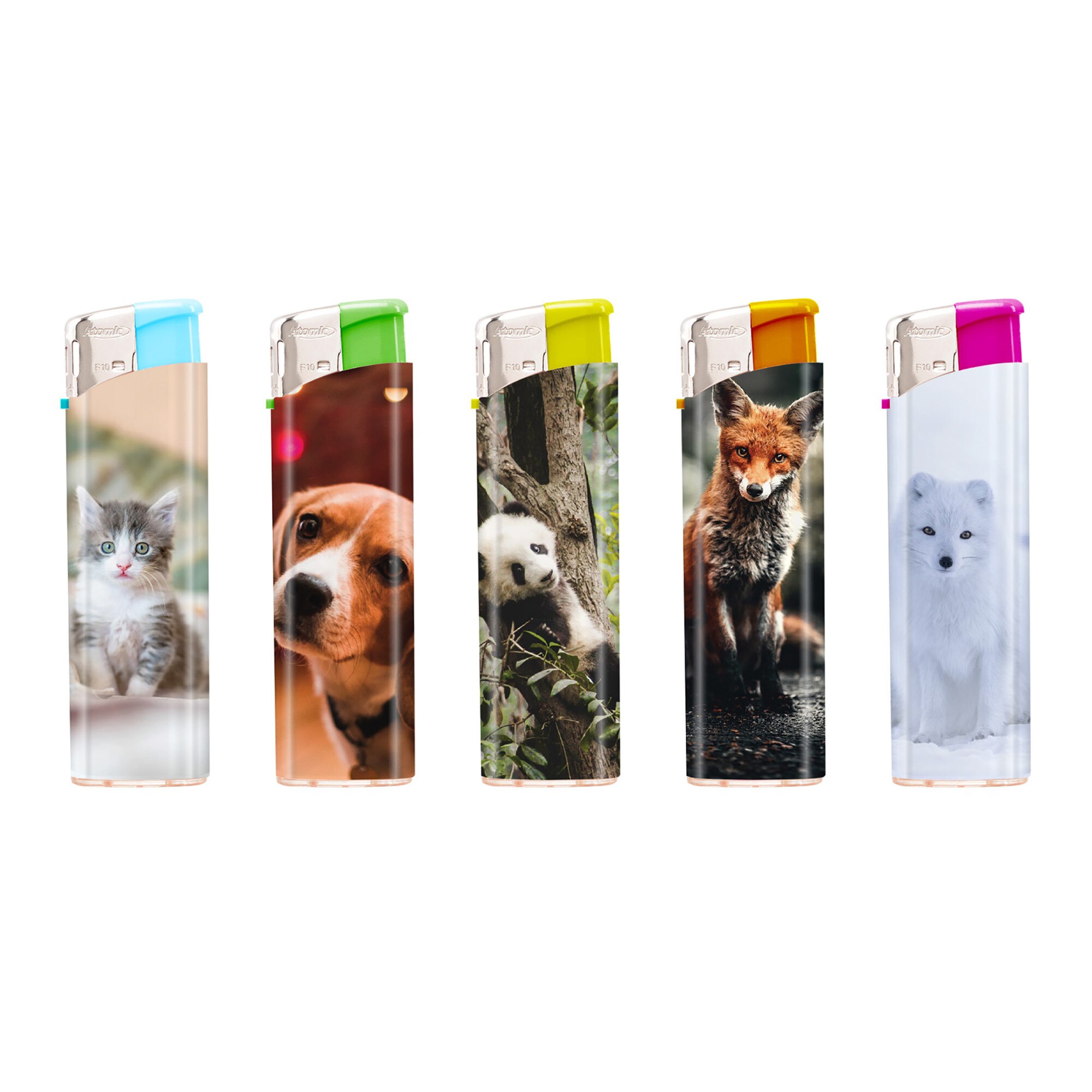 Set 5 brichete Atomic tier babies