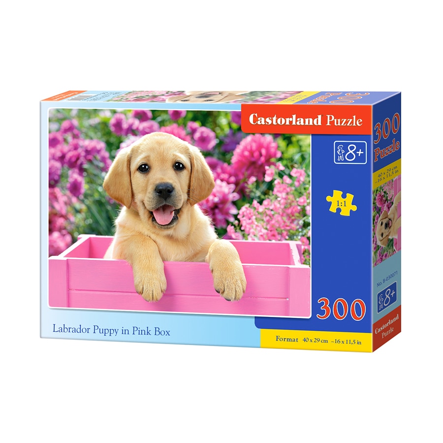 Puzzle Castorland, Pui de labrador in cutie roz, 300 piese