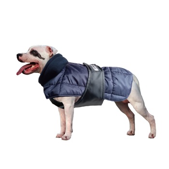 Haina de iarna 60 cm, Petas mov antracit/negru, caini talie mare 2 XL Haina de iarna 60 cm, Petas mov antracit/negru, caini talie mare 2 XL