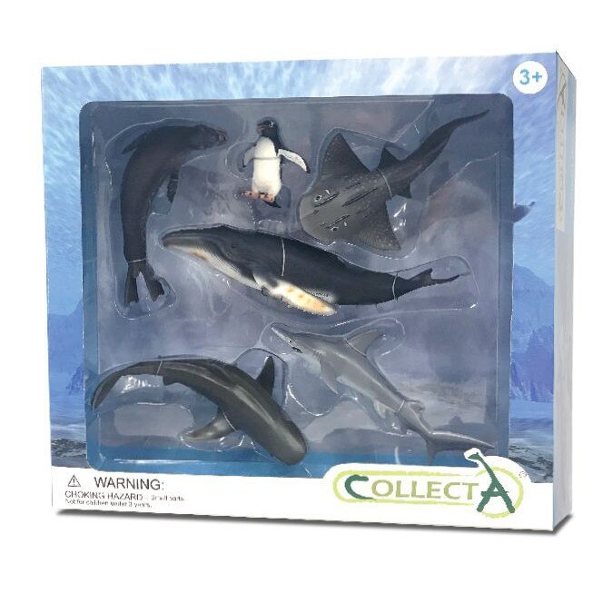 Set 6 figurine Viata Marina - Collecta