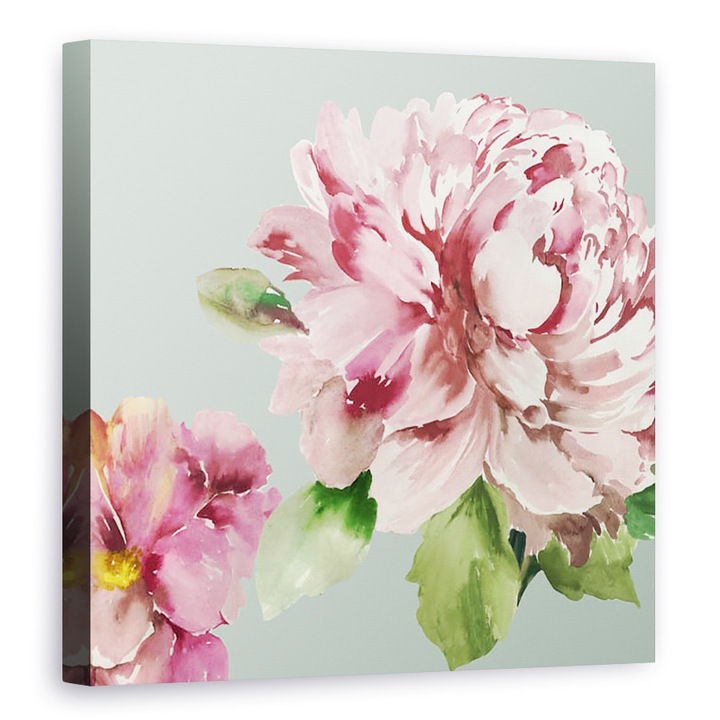 Tablou canvas - Flori, Bujori roz I, 90 x 90 cm