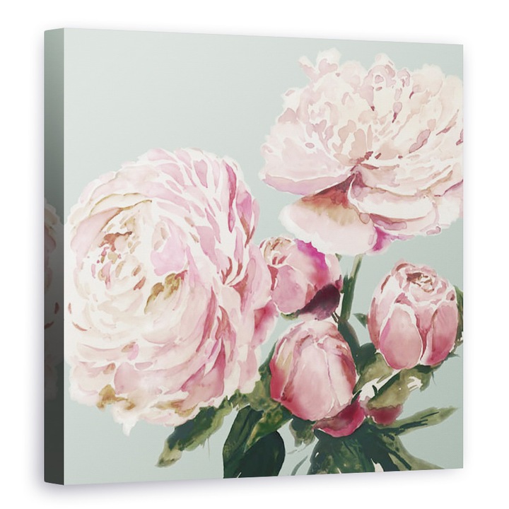 Tablou canvas - Flori, Bujori roz II, 100 x 100 cm