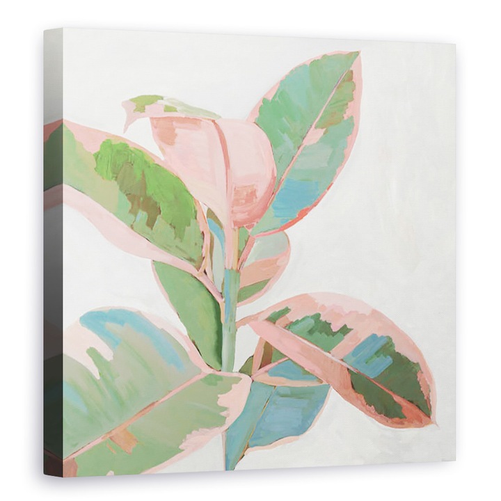 Tablou canvas - Flori, Ficus roz I, 80 x 80 cm