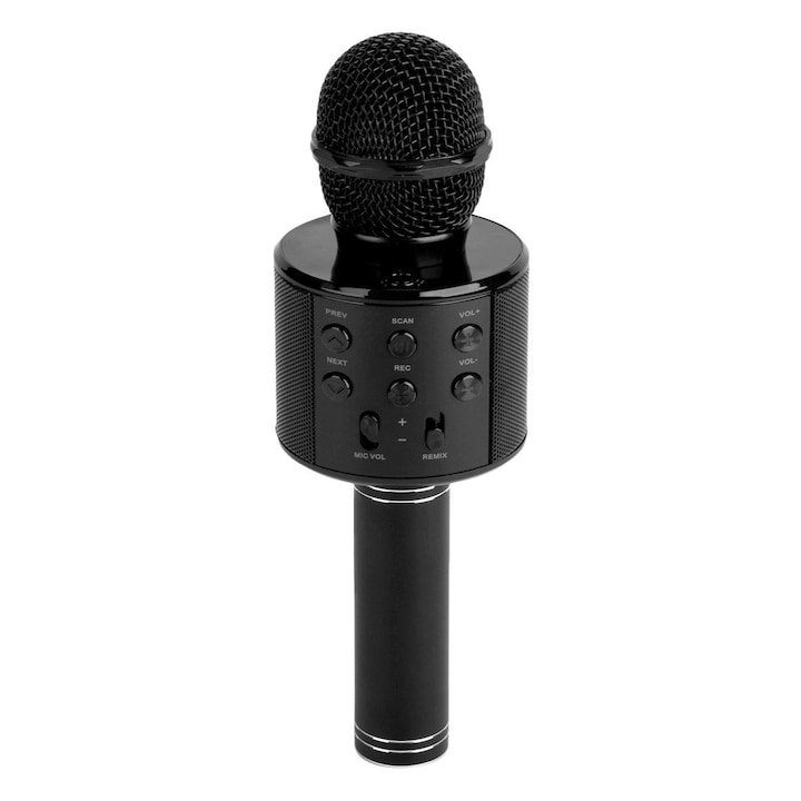 Reflection Vision 858 Karaoke Mikrofon, hangszóró, SD kártya, USB, AUX, fekete