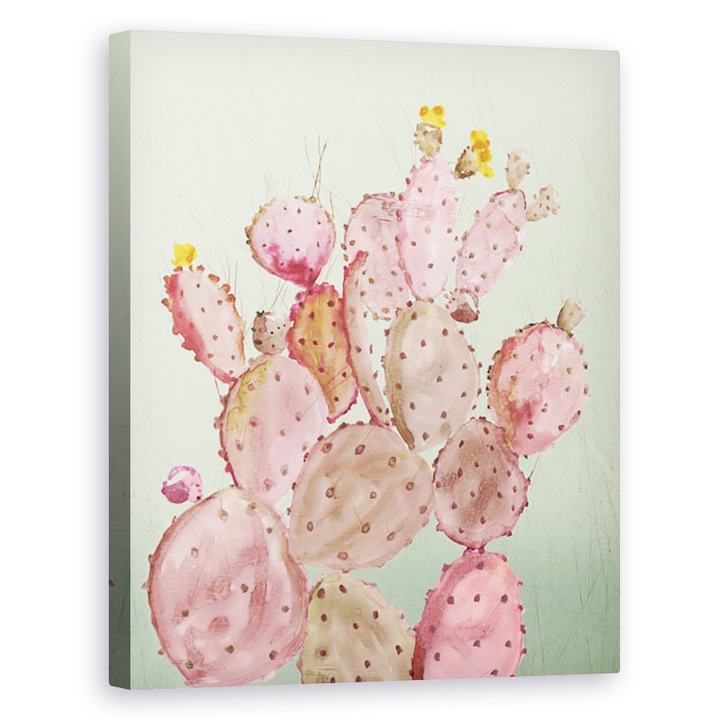 Tablou canvas - Abstract, Cactusi roz, 80 x 100 cm