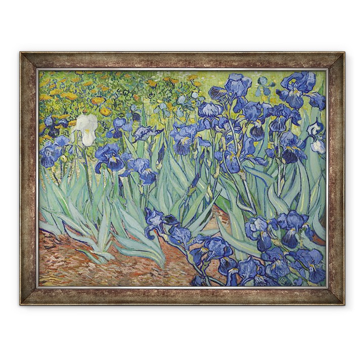 Tablou inramat - Vincent van Gogh - Irisi I, 60 x 80 cm
