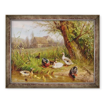 Tablou inramat - Carl Jutz - Rate Mallard cu ratele lor, 60 x 80 cm Tablou inramat - Carl Jutz - Rate Mallard cu ratele lor, 60 x 80 cm