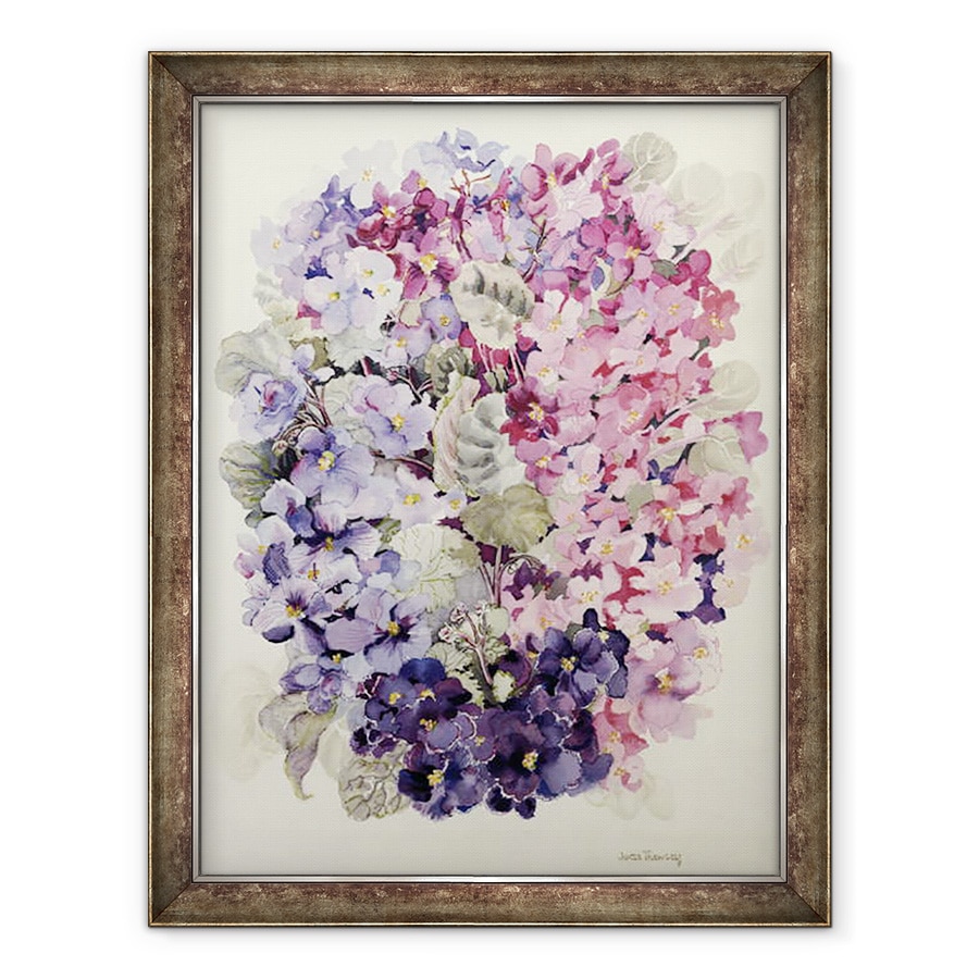 Tablou inramat - Joan Thewsey - Violete africane, 60 x 80 cm