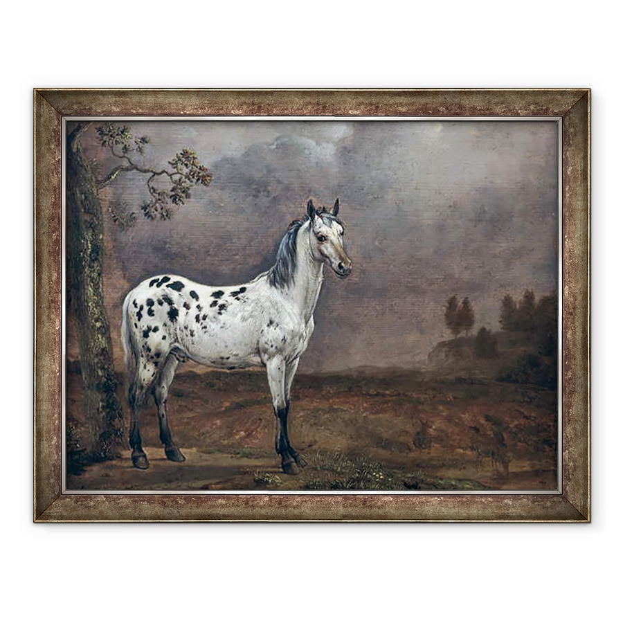 Tablou inramat - Paulus Potter - Calul Piebald, 70 x 90 cm