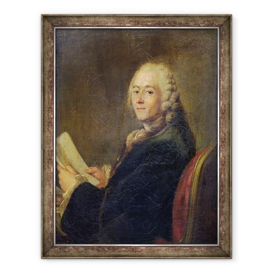 Tablou inramat - Scoala franceza - Jean le Rond dAlembert 1717-83, 60 x 80 cm