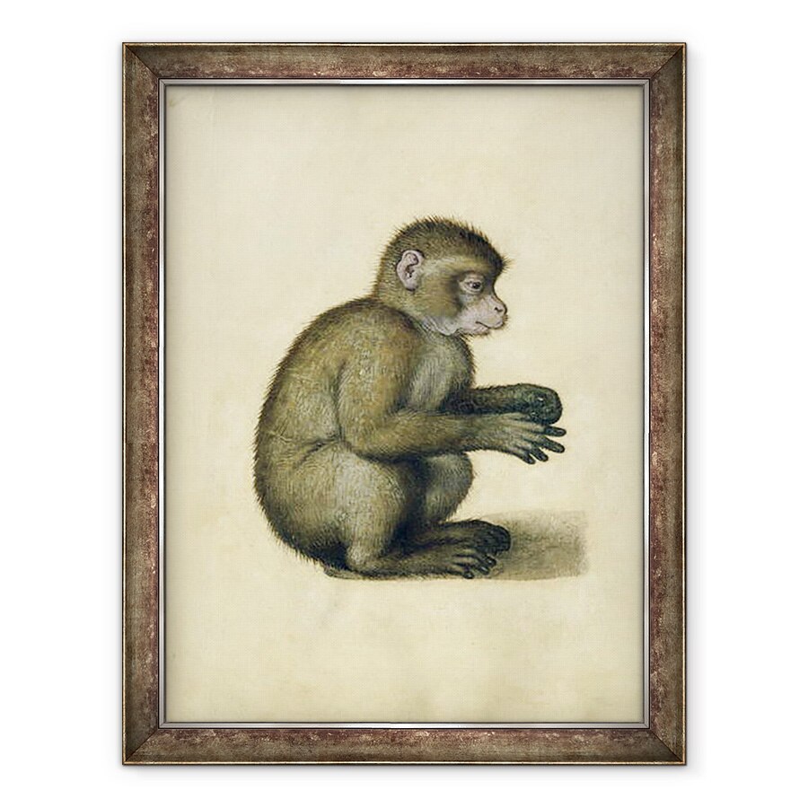 Tablou inramat - Albrecht Durer - O maimuta, 60 x 80 cm