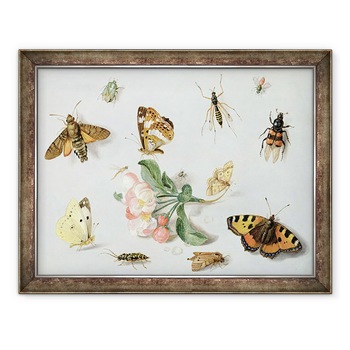 Tablou inramat - Jan van Kessel the Elder - Fluturi I, 60 x 80 cm Tablou inramat - Jan van Kessel the Elder - Fluturi I, 60 x 80 cm