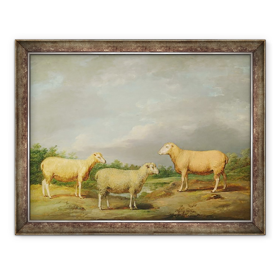 Tablou inramat - James Ward - Ryelands Oaie, Berbecul regelui, Oaia Regelui si Wether Lord Somerville, 70 x 90 cm