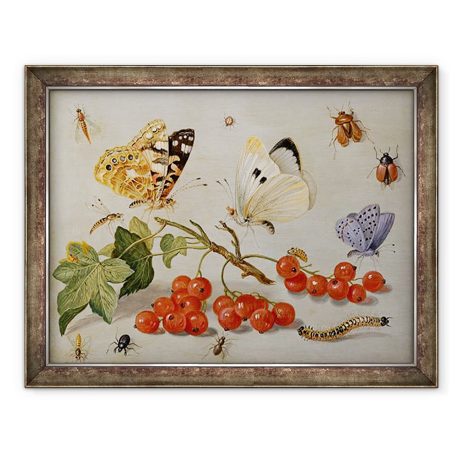 Tablou inramat - Jan van Kessel the Elder - O viata statica cu crenguta de coacaze rosii, fluturi, gandaci, 70 x 90 cm