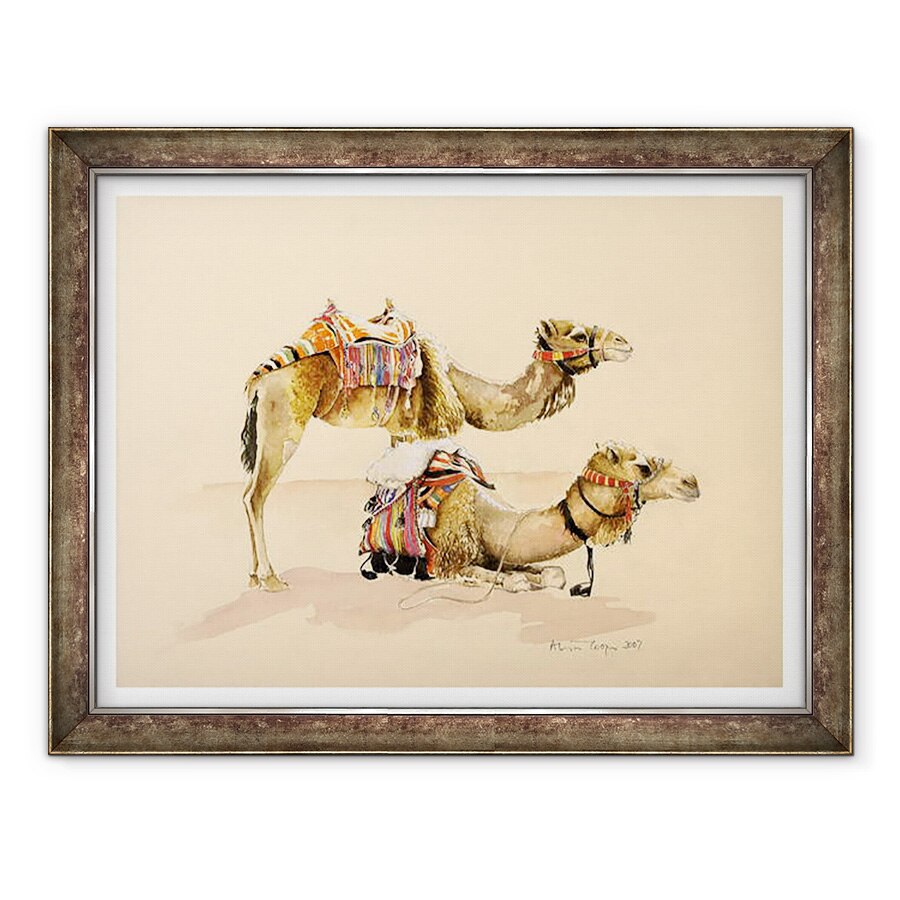 Tablou inramat - Alison Cooper - Camile din Petra, 60 x 80 cm