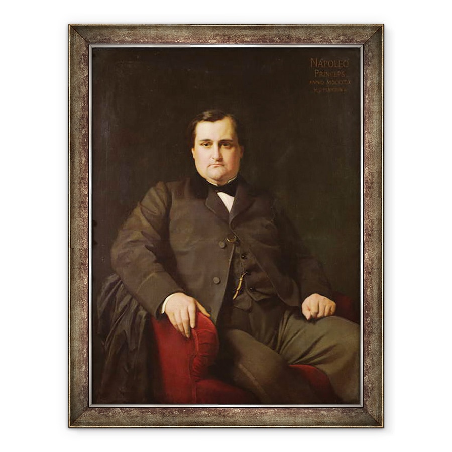 Tablou inramat - Hippolyte Flandrin - Portretul lui Joseph Charles Bonaparte, Printul Napoleon 1822-1891, 60 x 80 cm
