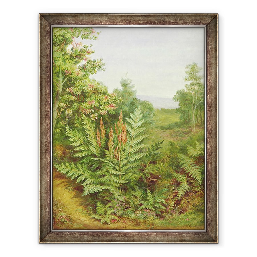 Tablou inramat - Albert Durer Lucas - Caprifoi si Ferigi, 60 x 80 cm