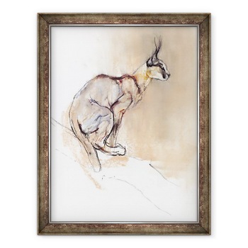 Tablou inramat - Mark Adlington - Seat Caracal, 70 x 90 cm Tablou inramat - Mark Adlington - Seat Caracal, 70 x 90 cm