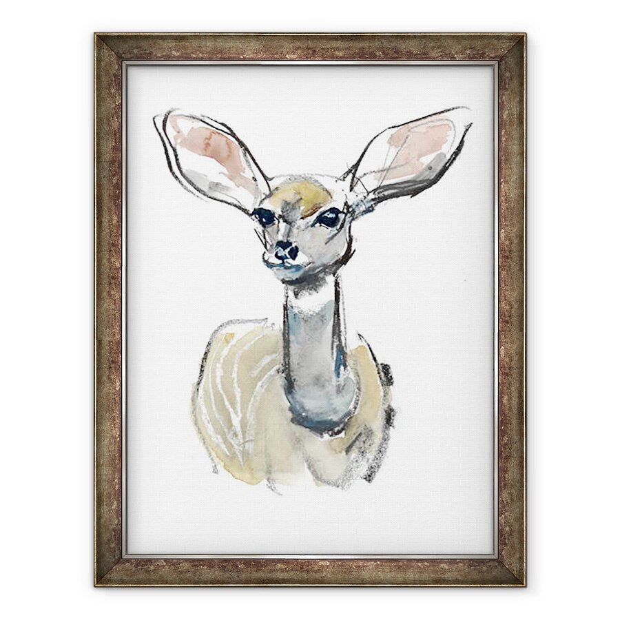 Tablou inramat - Mark Adlington - Kudu Fawn, Sarara, 2018, 60 x 80 cm