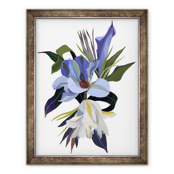 Tablou inramat - Hiroyuki Izutsu - O floare imaginara bazata pe motivul lalelei., 60 x 80 cm Tablou inramat - Hiroyuki Izutsu - O floare imaginara bazata pe motivul lalelei., 60 x 80 cm