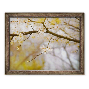 Tablou inramat - Helen White - Primavara de Aur, 2019, 60 x 80 cm Tablou inramat - Helen White - Primavara de Aur, 2019, 60 x 80 cm