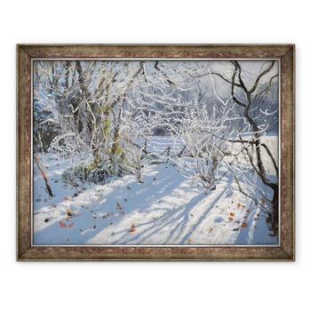 Tablou inramat - Andrew Macara - Hoar Frost, 70 x 90 cm Tablou inramat - Andrew Macara - Hoar Frost, 70 x 90 cm